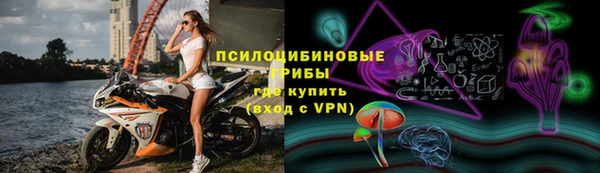 кокс Дмитровск